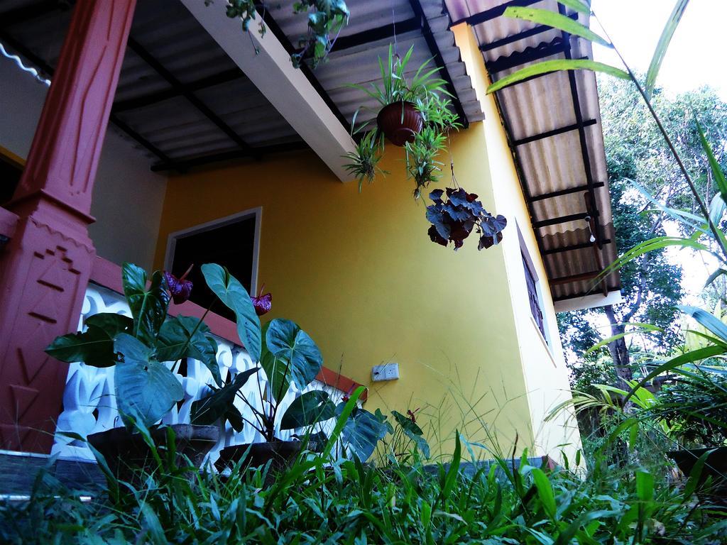 Sigiri Sithru Home Stay Sigiriya Esterno foto