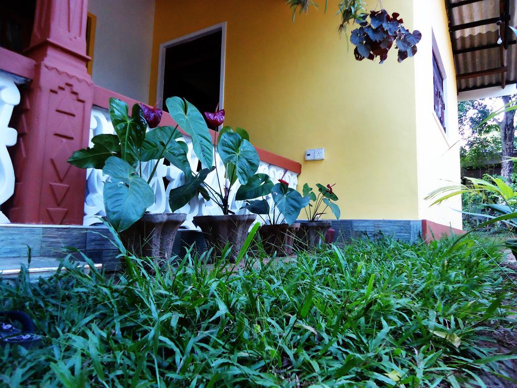 Sigiri Sithru Home Stay Sigiriya Esterno foto